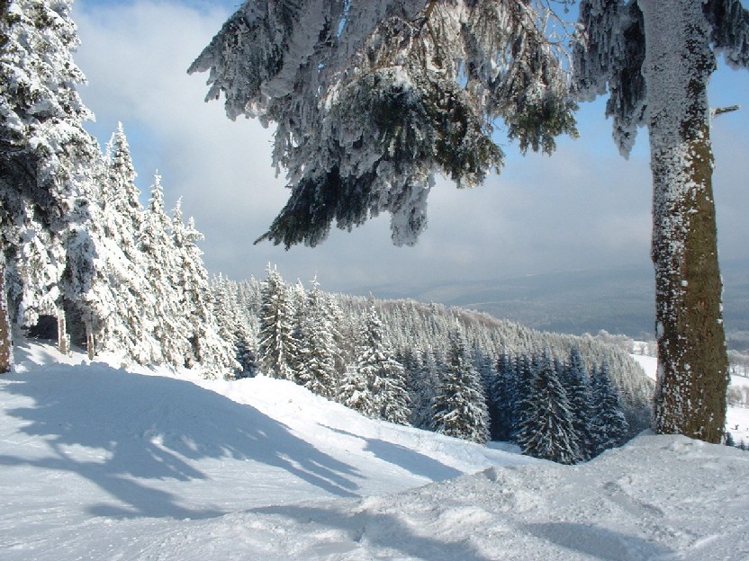 Zieleniec 2003